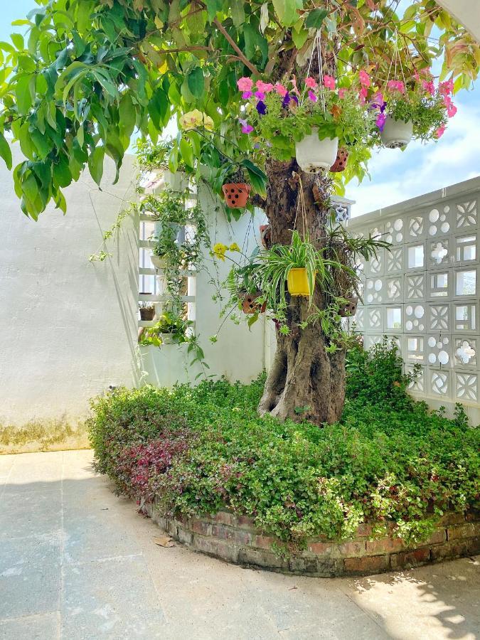 Hoi An Cabbage Garden Apartamento Exterior foto
